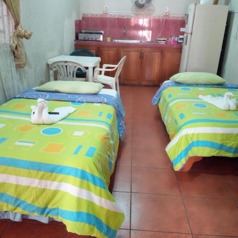 Hostal Miconia - Habitación Familiar con ducha - 4