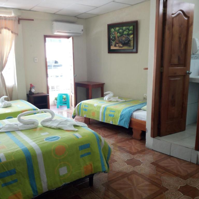 Hostal Miconia - Habitación Familiar con ducha - 5
