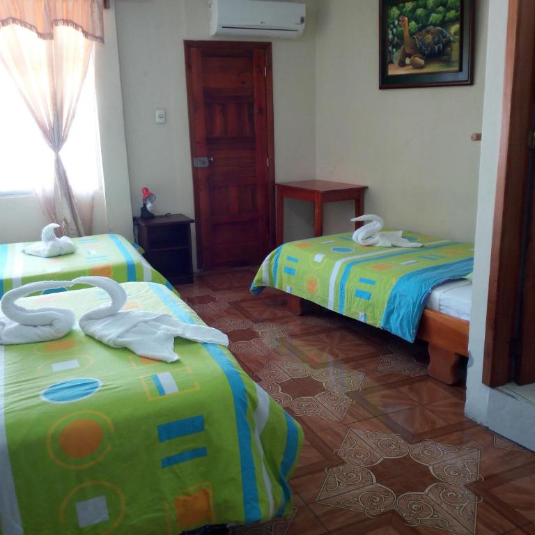 Hostal Miconia - Habitación Familiar con ducha - 6