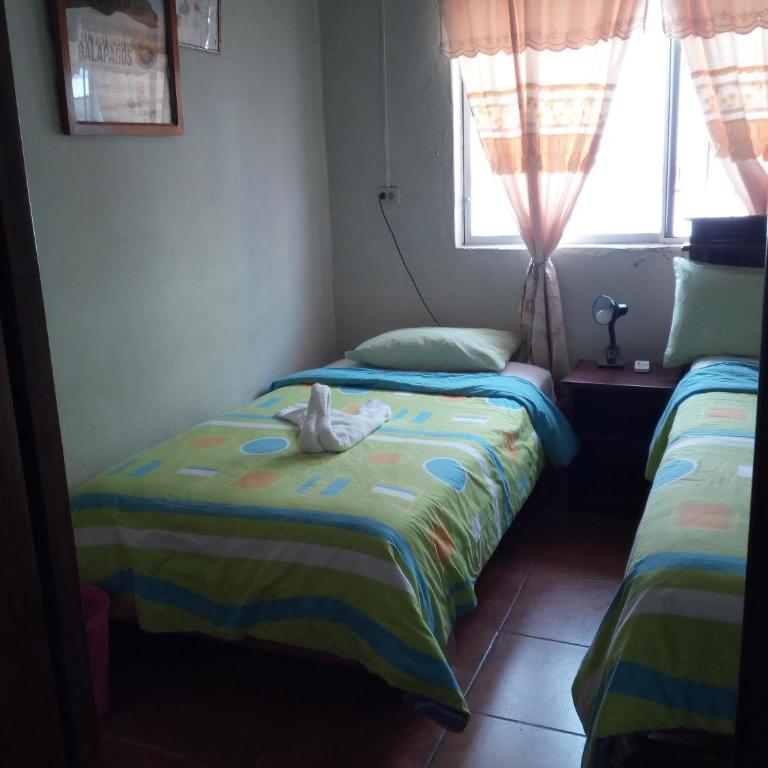 Hostal Miconia - Habitación Familiar con ducha - 6