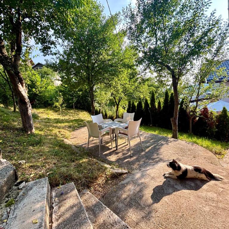 Sarajevo Holiday Home - Kuća sa 2 Spavaće Sobe - 48