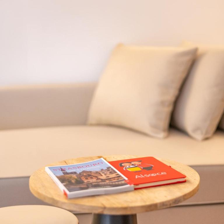 Studio de charme Strasbourg cœur Petite France - Appartement 1 Chambre - 9