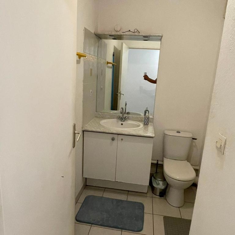 Little house in Paris - Appartement 1 Chambre - 4