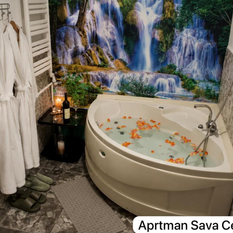 Apartman Sava Centar 1 i 2 - Apartment mit 1 Schlafzimmer - 2