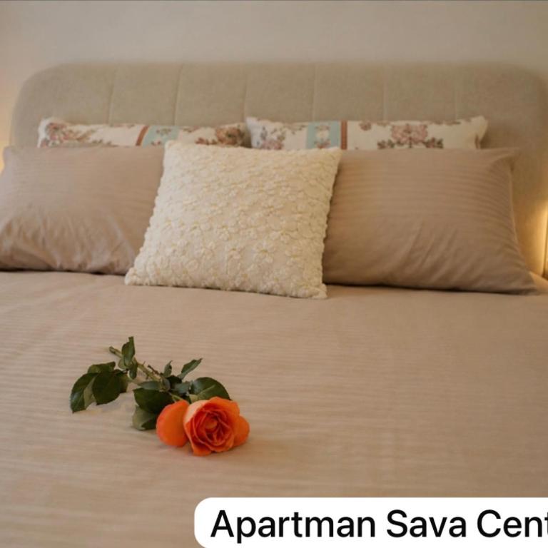 Apartman Sava Centar 1 i 2 - Apartment mit 1 Schlafzimmer - 3