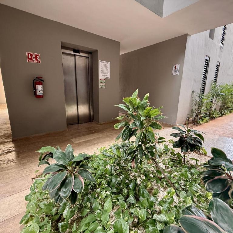 Departamento 2 Recamaras con Workspace, WiFi y Alberca - Two-Bedroom Apartment - 21