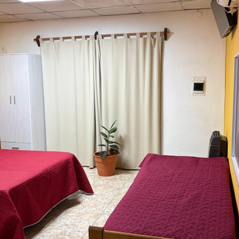 Lo de Peter - Apartamento de 1 dormitorio - 8