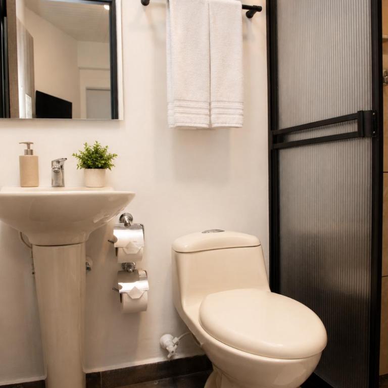 Hotel Provenza Garden - Standard Twin Room - 6