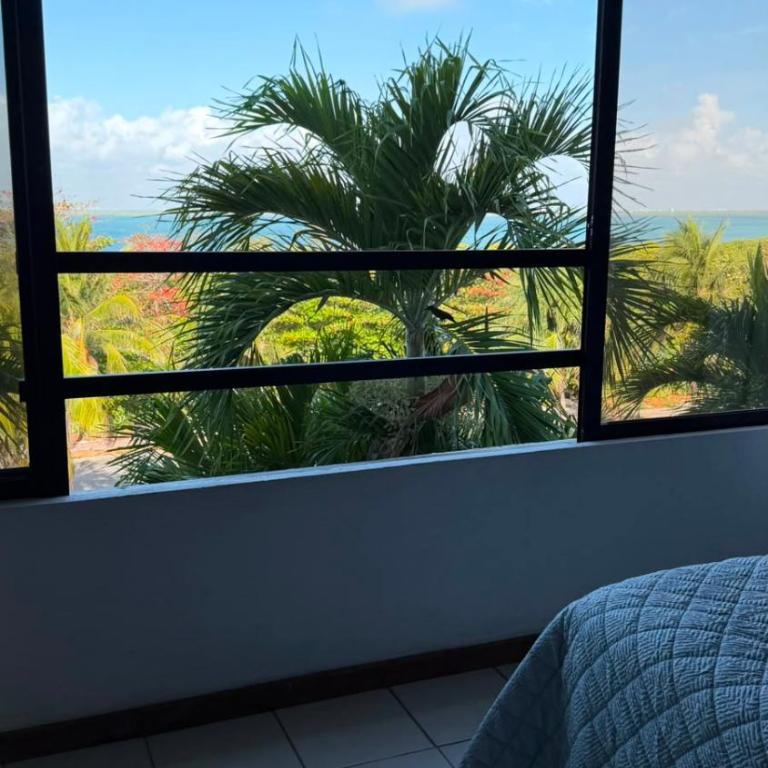 Beachfront Apartment in Cancun - Appartement 1 Chambre - 63