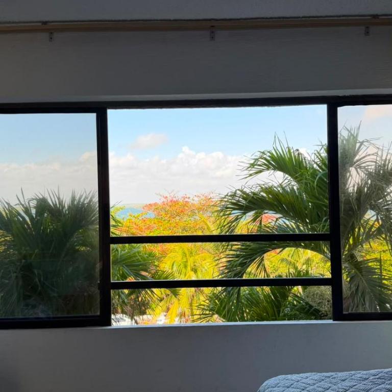 Beachfront Apartment in Cancun - Appartement 1 Chambre - 64
