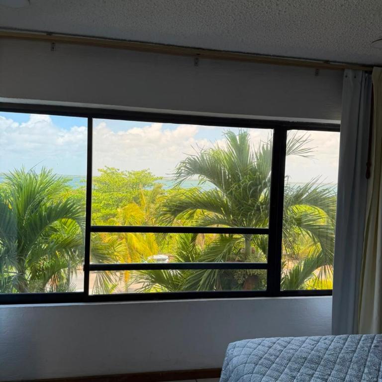 Beachfront Apartment in Cancun - Appartement 1 Chambre - 96