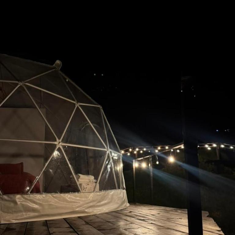 Glamping Store - Habitación con cama extragrande y vistas al lago - 4