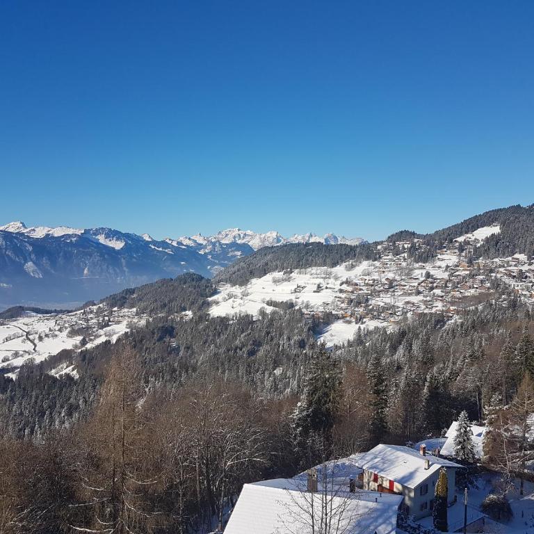Studio 166 Le Bristol Villars - Appartamento Monolocale - 12