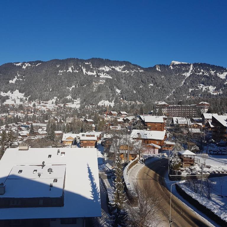 Studio 166 Le Bristol Villars - Appartamento Monolocale - 13