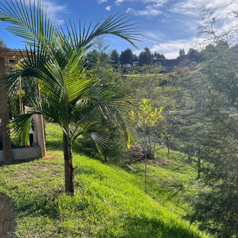 Cabaña La Suiza con Jacuzzi a 5 min del aeropuerto JMC - Casa de 2 dormitorios - 23