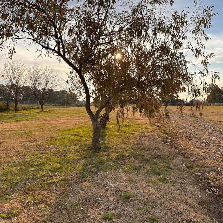 Cabaña de campo con pileta en Buenos Aires - Casa con 1 dormitorio - 8