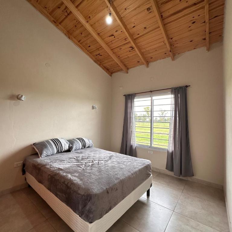 Cabaña de campo con pileta en Buenos Aires - Casa con 1 dormitorio - 16