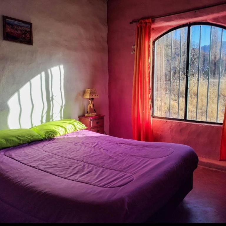Cabañas Rurales HLS - One-Bedroom Apartment - 7