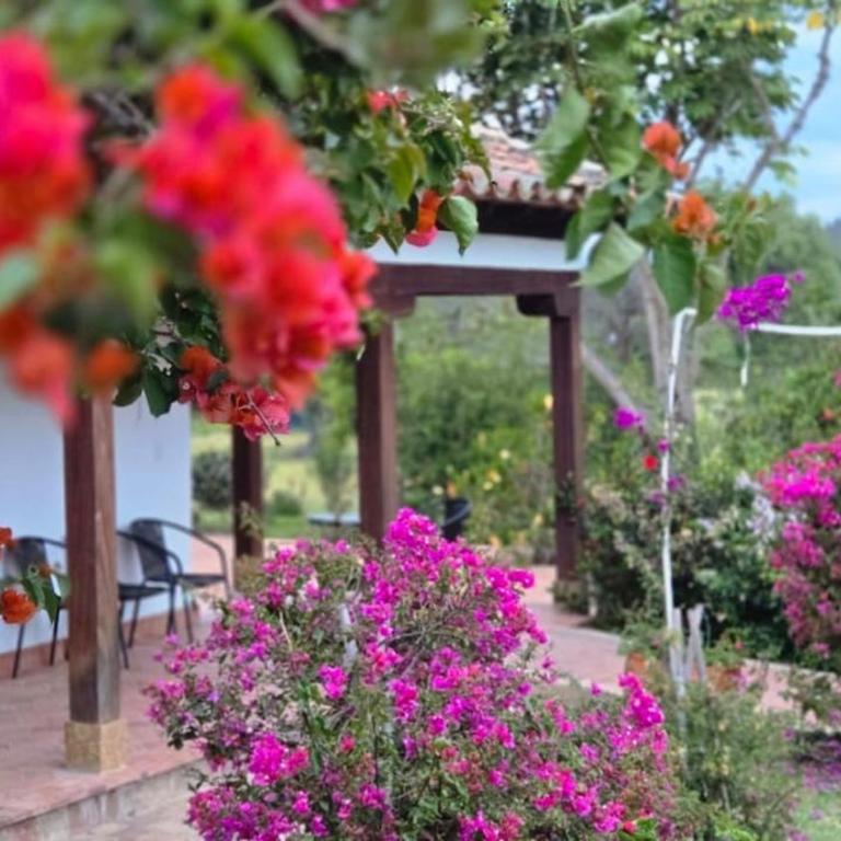Hotel La Villa de Victoria Villa de Leyva - Chalet Superior - 6