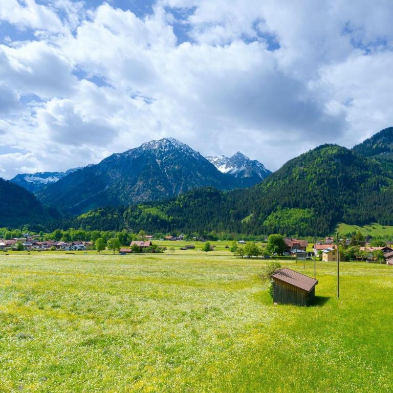 Alpenzauber - Apartment - 5