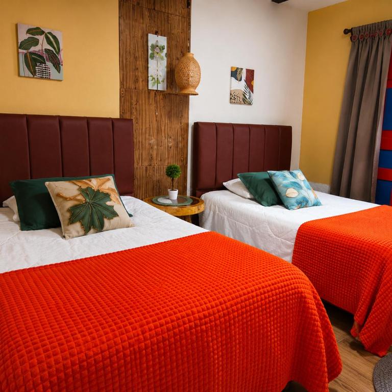 Salento en Agosto - Apartamento de 2 dormitorios - 1