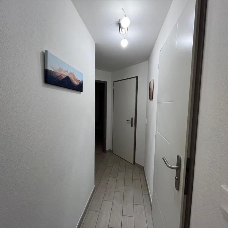 Appartement sur Châtel - 4 pers. - FR-1-198-283 - Appartement - 4