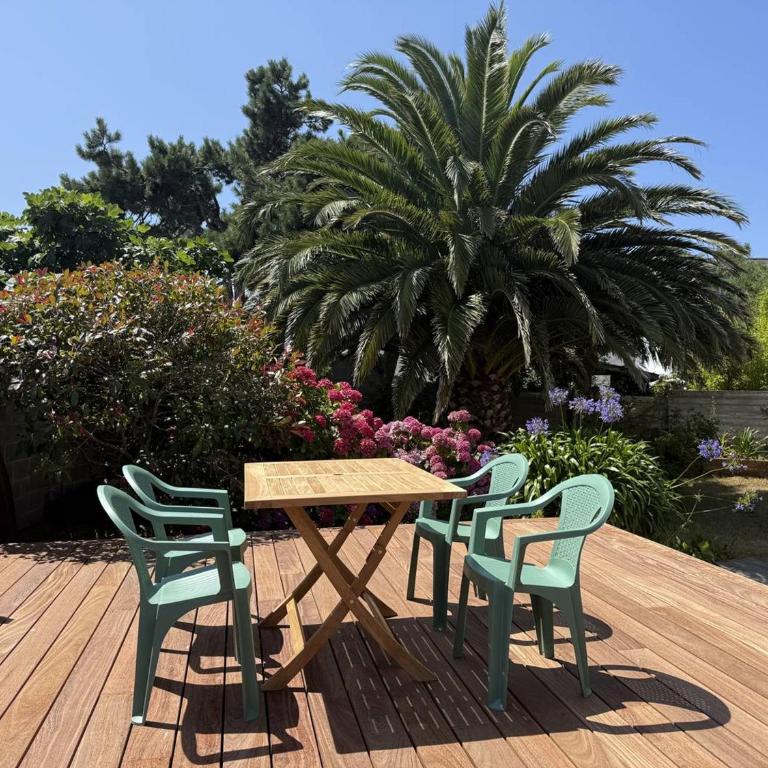 Appartement cosy proche plage - 3 pers. - FR-1-368-483 - Apartment - 1
