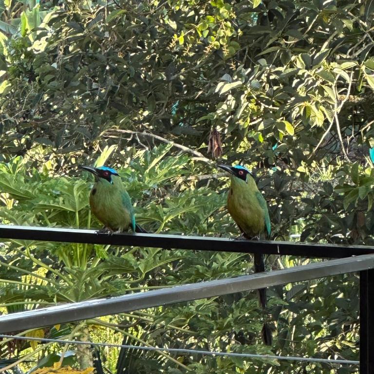 Villa Yarumo - Villa de 2 dormitorios - 10