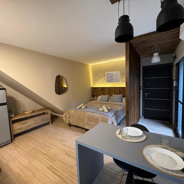 Moderno Departamento en el Centro de Rosario - Apartamento de 1 dormitorio - 25