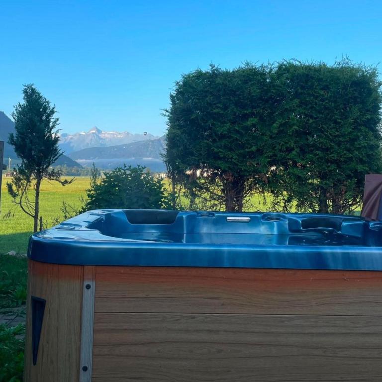 Holiday apartment on a farm with outdoor whirlpool - Appartement 4 Chambres - 12