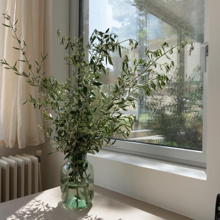 IMPALS Apartamento 12 - Apartamento de 2 dormitorios con terraza - 22
