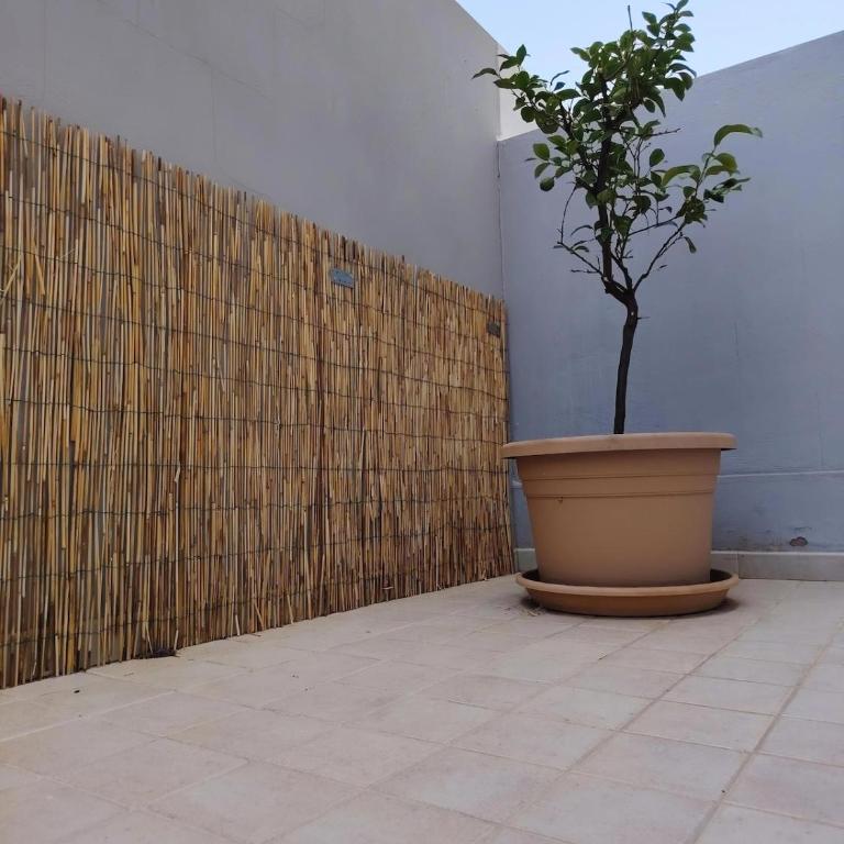 BATRA Domus - Casa Vacanze - 15