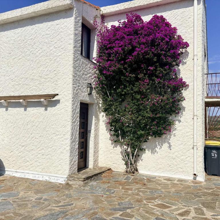 Appart 4 pièces 6 couchages BANYULS SUR MER BN680-001 - Appartement 3 Chambres - 4