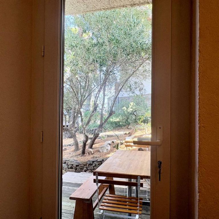 Appart 4 pièces 6 couchages BANYULS SUR MER BN680-001 - Appartement 3 Chambres - 23