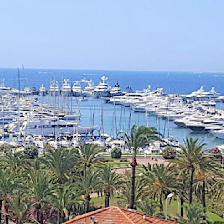 PLAGE Pointe Croisette Parking - Appartement 1 Chambre - 24