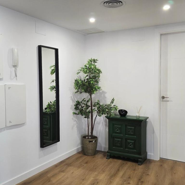 Apartamentos Almada - calle Alfonso - Plaza SAS - Appartamento Deluxe con 2 Camere da Letto - 12