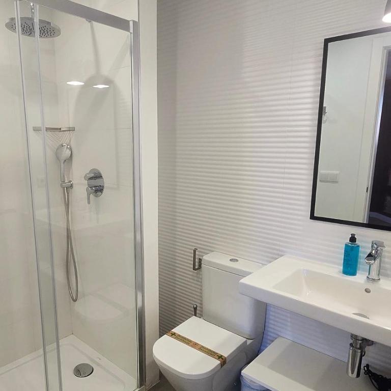 Apartamentos Almada - calle Alfonso - Plaza SAS - Appartamento Deluxe con 2 Camere da Letto - 5