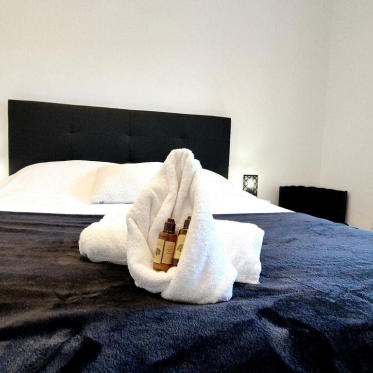 Rue Hoche cocon pour 2-3 personnes - Appartement - 14
