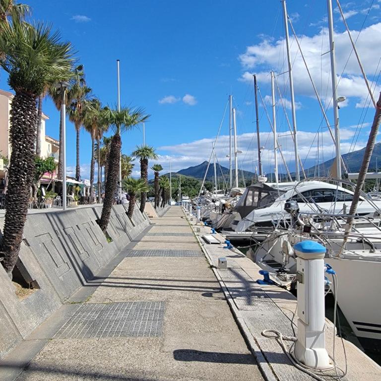 Appartement Type F2 climatise entre plage et port - Appartement 1 Chambre - 14