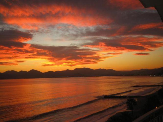 Penthouse apartment with roof terrace by the beach - Appartement - 58