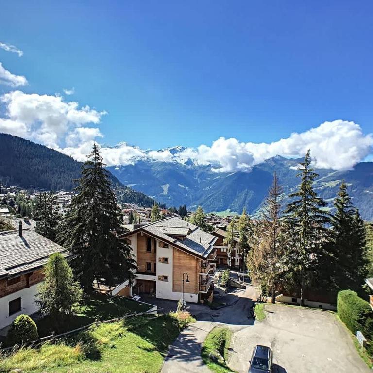 Tayannes 223 - Appartement - 1