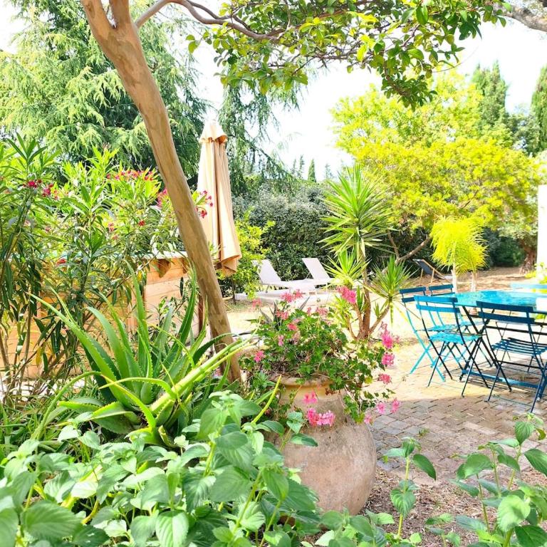 La Petite Campagne-Pool-Good Life - Villa 2 Chambres - 25
