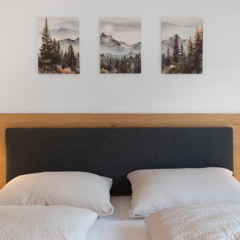 Oberstarzerhof - Appartamento Superior con 1 Camera da Letto e Balcone - 5