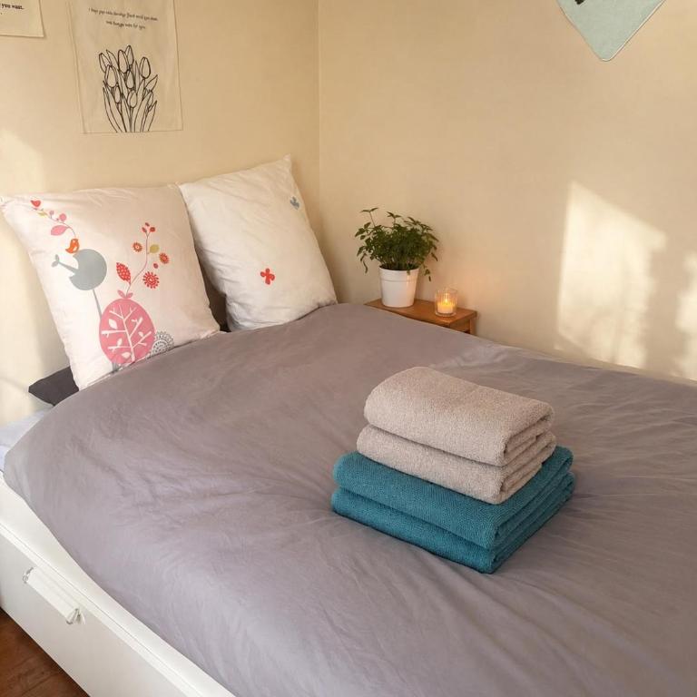 Cozy Parisian Apartment Near Eiffel Tower - Appartement 1 Chambre - 5