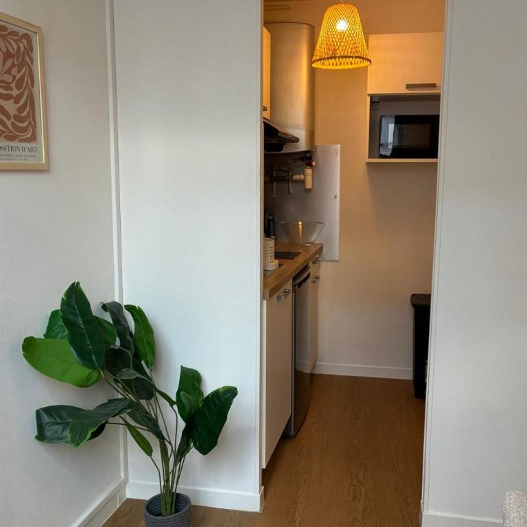 Charmant studio au cœur du quartier Bouffay - Studio - 3