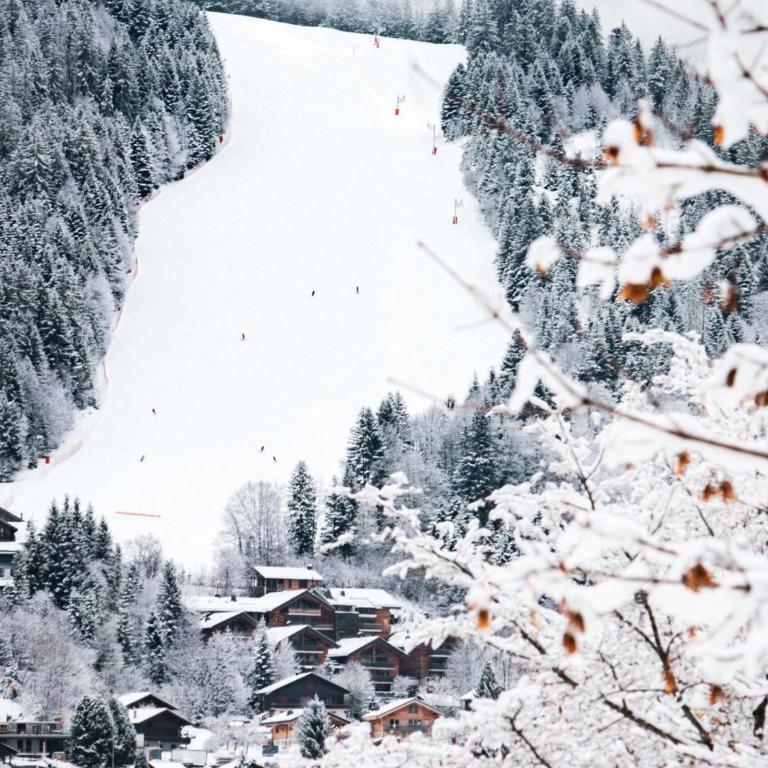 Chalet neuf pour 6 pers, animaux et parking - FR-1-836-36 - Chalet - 15