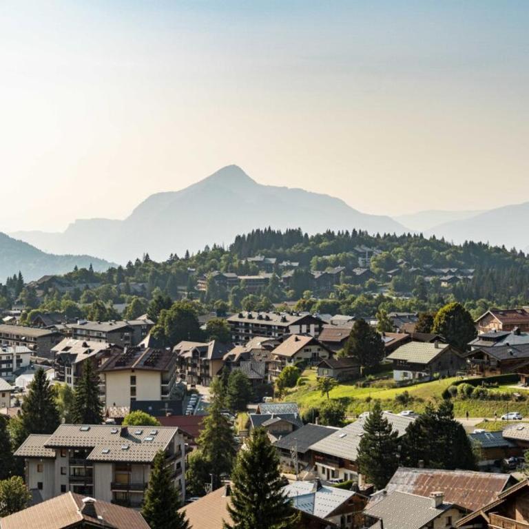 Appartement Chalet 2 Chambres - 6 Pers, Wifi, Parking - FR-1-836-27 - Appartement - 15