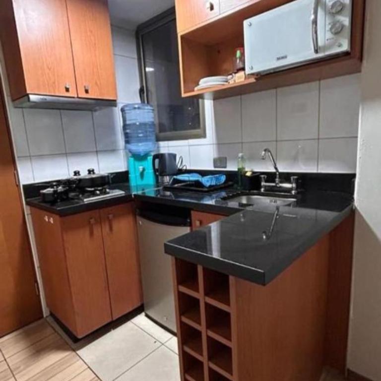 Urban nest Lastarria - One-Bedroom Apartment - 7