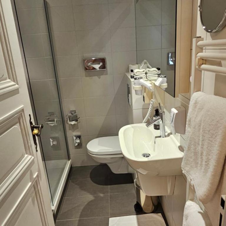 Logis Hôtel Ettenheim - Camera Matrimoniale con Bagno Privato - 7