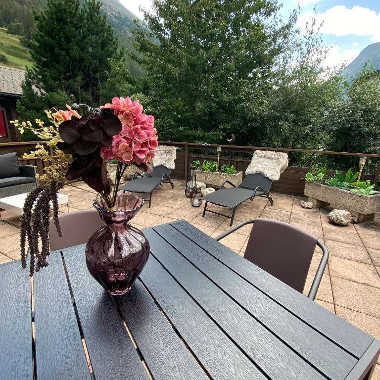 Refuge alpin, vue et grande terrasse - Apartment mit 1 Schlafzimmer - 21